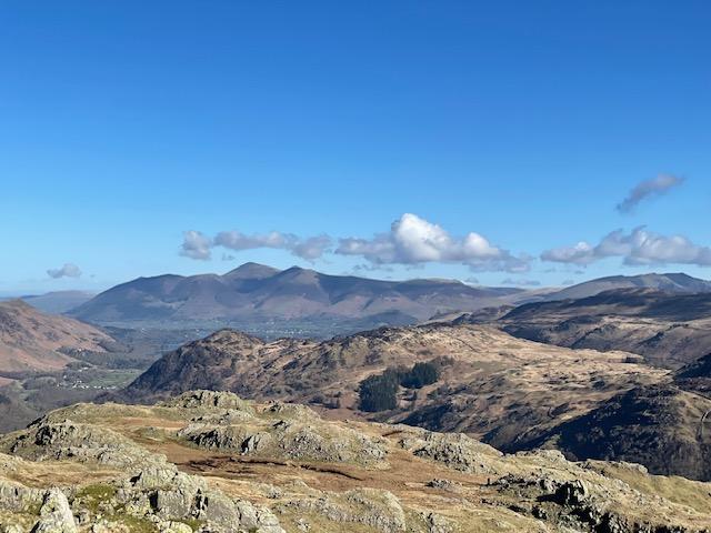 Tony's Walks photo 1