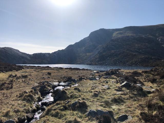 Tony's Walks photo 3