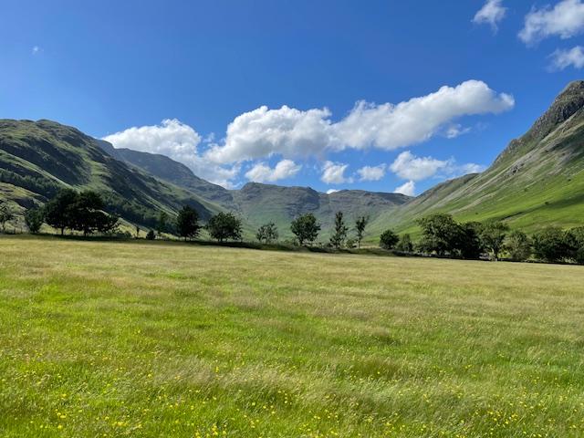 Tony's Walks photo 5